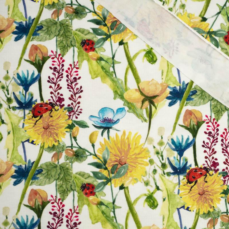 LADYBIRDS IN THE MEADOW (IN THE MEADOW) - single jersey with elastane 