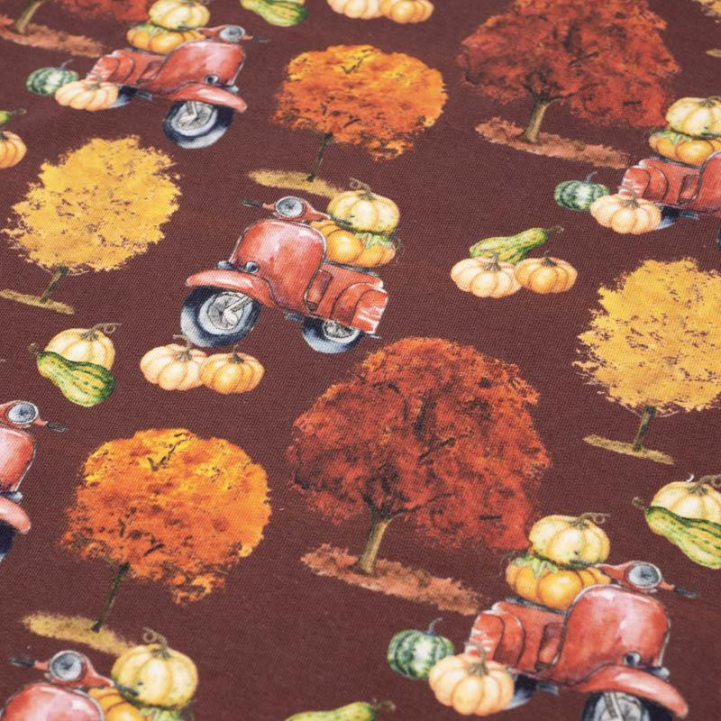PUMPKINS ON THE SCOOTER (trees) / maroon (PUMPKIN GARDEN) - looped knit fabric