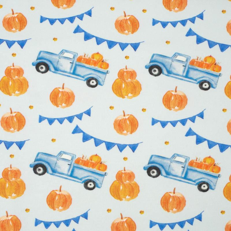 PUMPKINS ON THE PICKUP /  ROSETTES (PUMPKIN GARDEN) - single jersey with elastane 