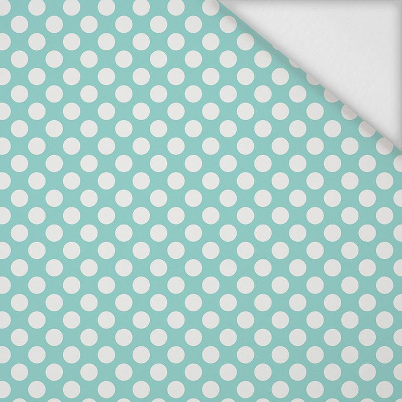 WHITE DOTS / mint - softshell