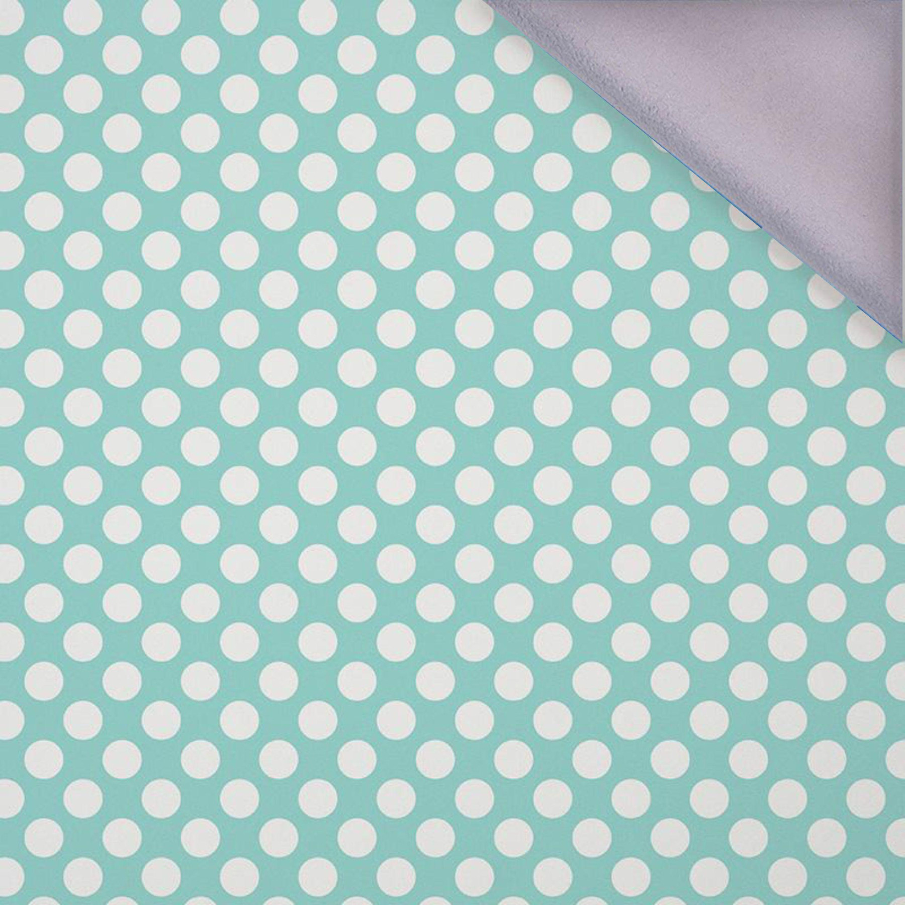 WHITE DOTS / mint - softshell