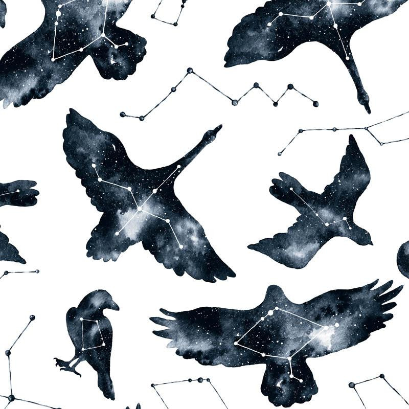 GALACTIC BIRDS (GALACTIC ANIMALS)