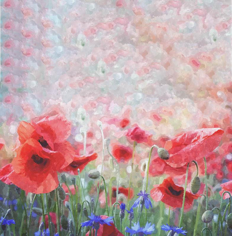 POPPIES pat. 1 - Cotton woven fabric panel