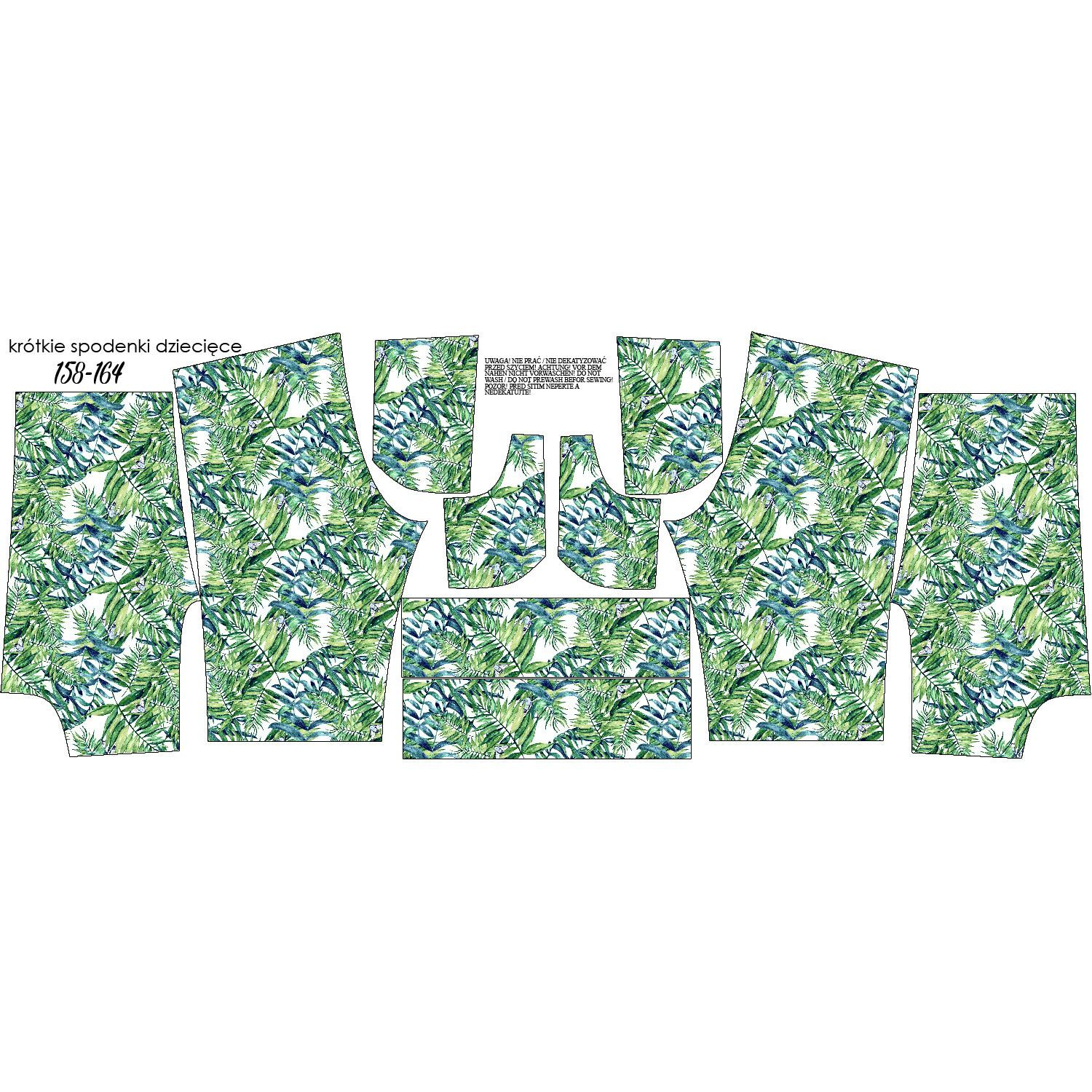 KID`S SHORTS (RIO) - MINI LEAVES AND INSECTS PAT. 6 (TROPICAL NATURE) / white - looped knit fabric 