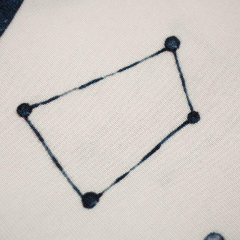 PLANETS AND CONSTELLATIONS (GALACTIC ANIMALS) - single jersey with elastane 