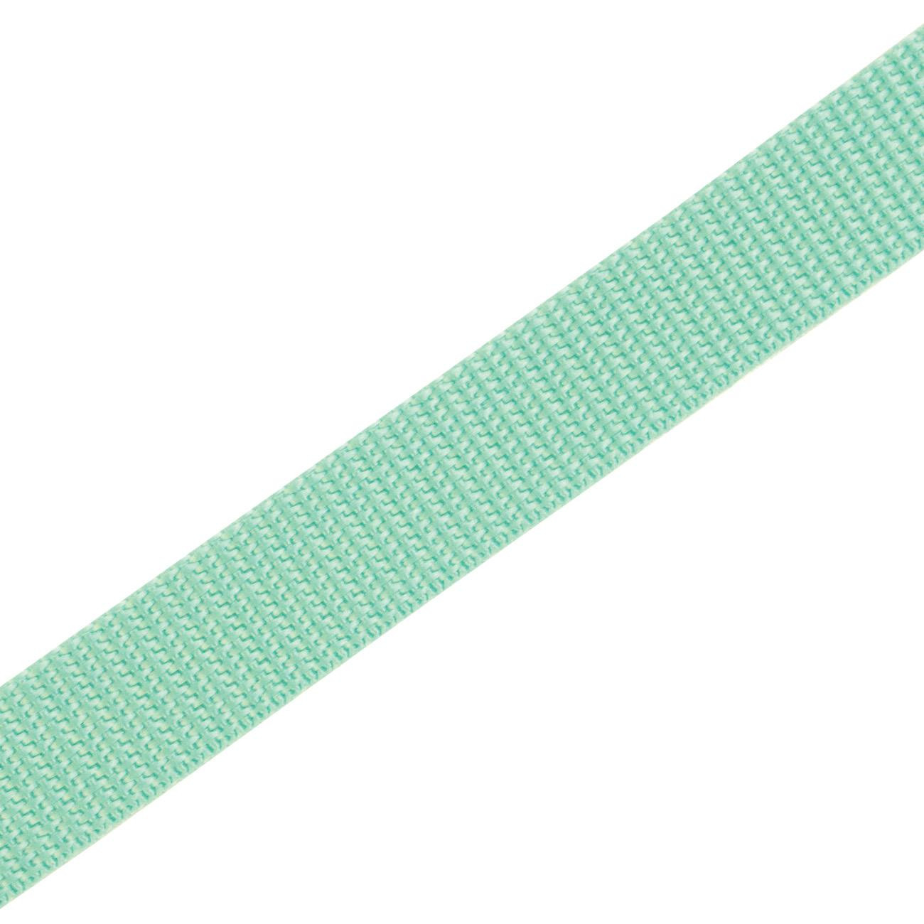 Webbing tape - MINT / Choice of sizes