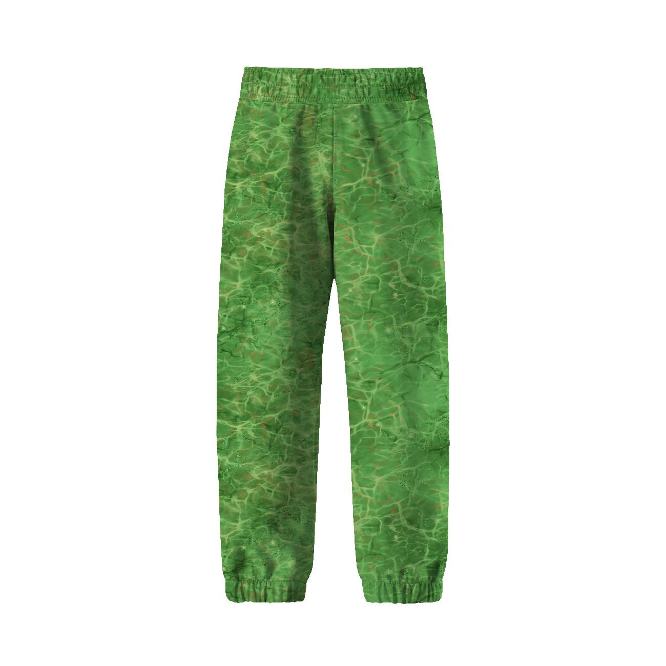 CHILDREN'S SOFTSHELL TROUSERS (YETI) - DRAGON DINO / background 