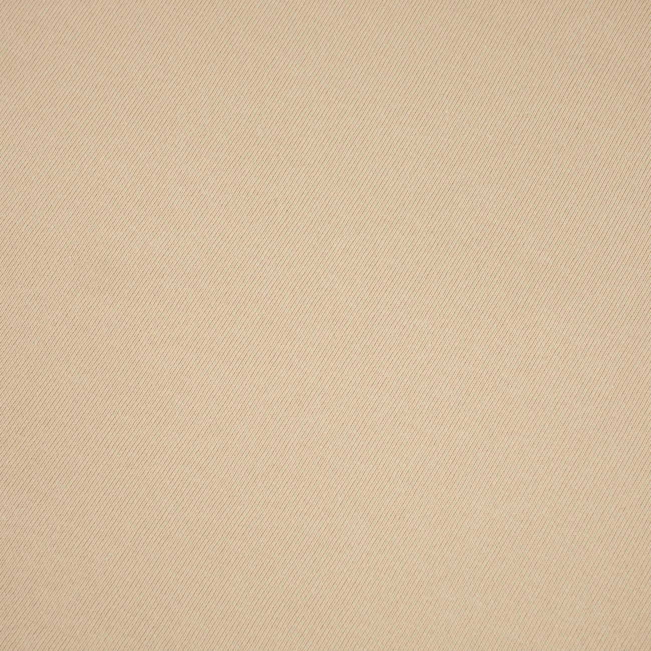 D-115 BEIGE - thick brushed sweatshirt D300