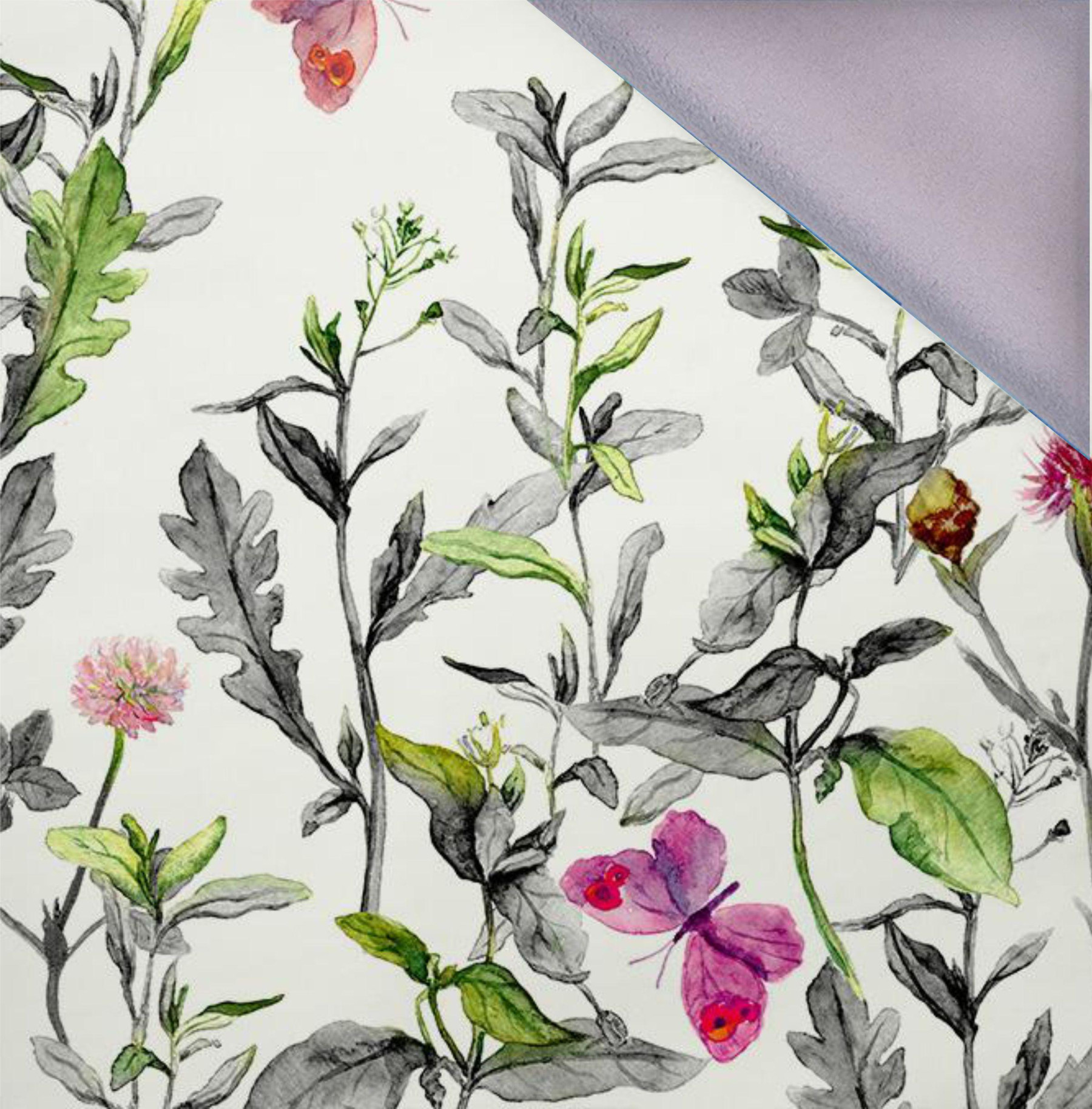 MEADOW / butterflies - white - softshell