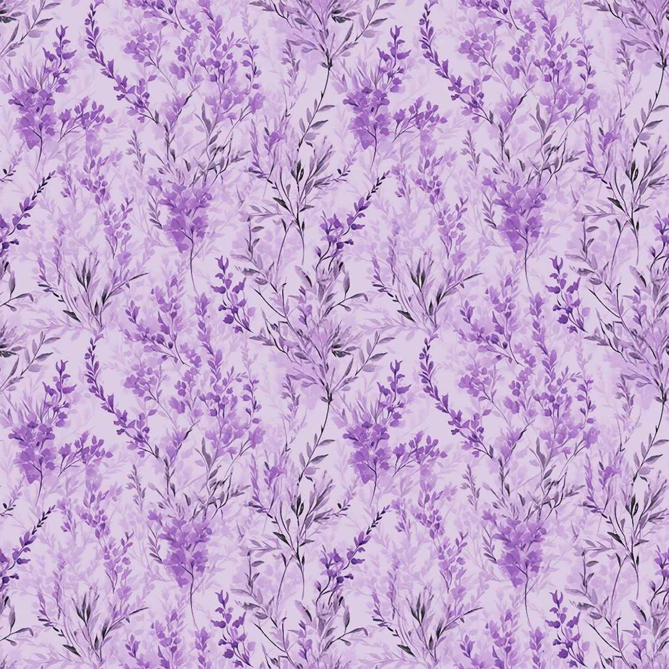 DIGITAL LAVENDER / FLOWERS