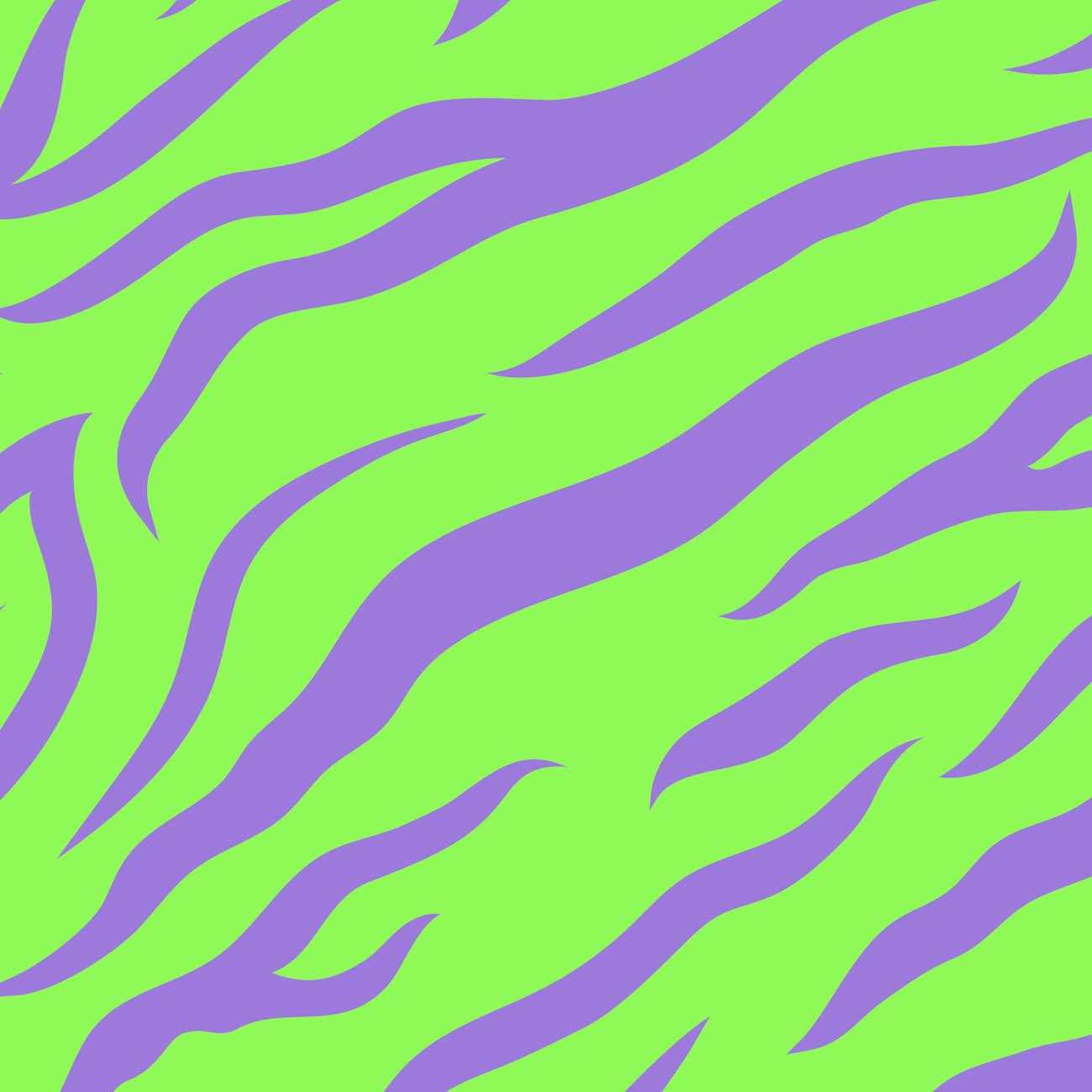 NEON ZEBRA PAT. 2