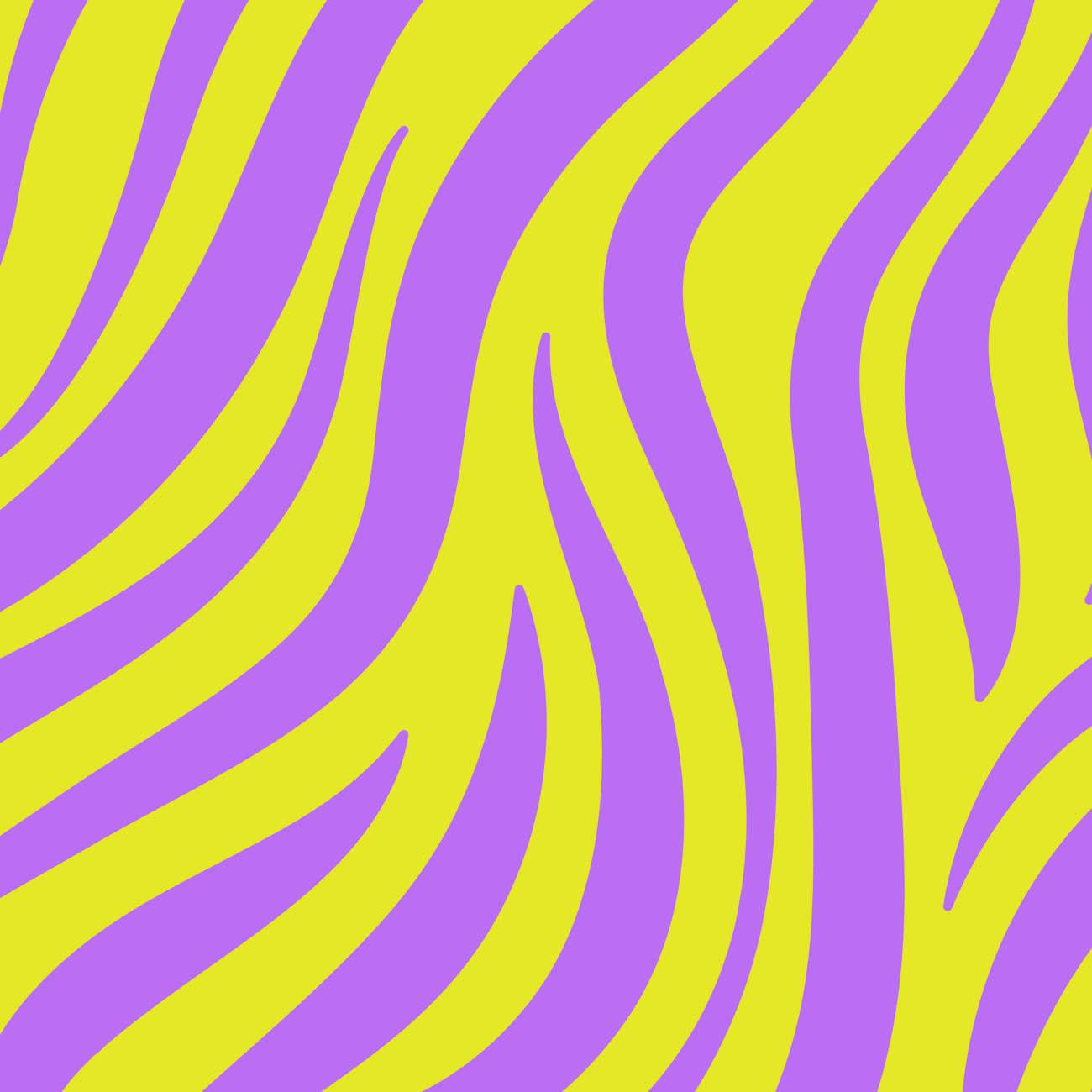 NEON ZEBRA PAT. 3