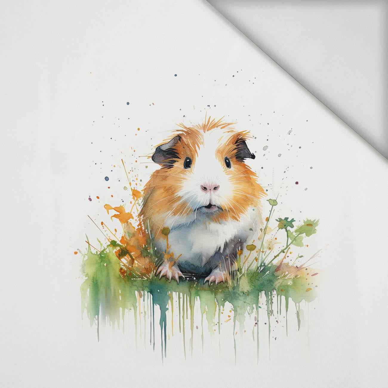 WATERCOLOR GUINEA PIG - panel (75cm x 80cm) lycra 300g