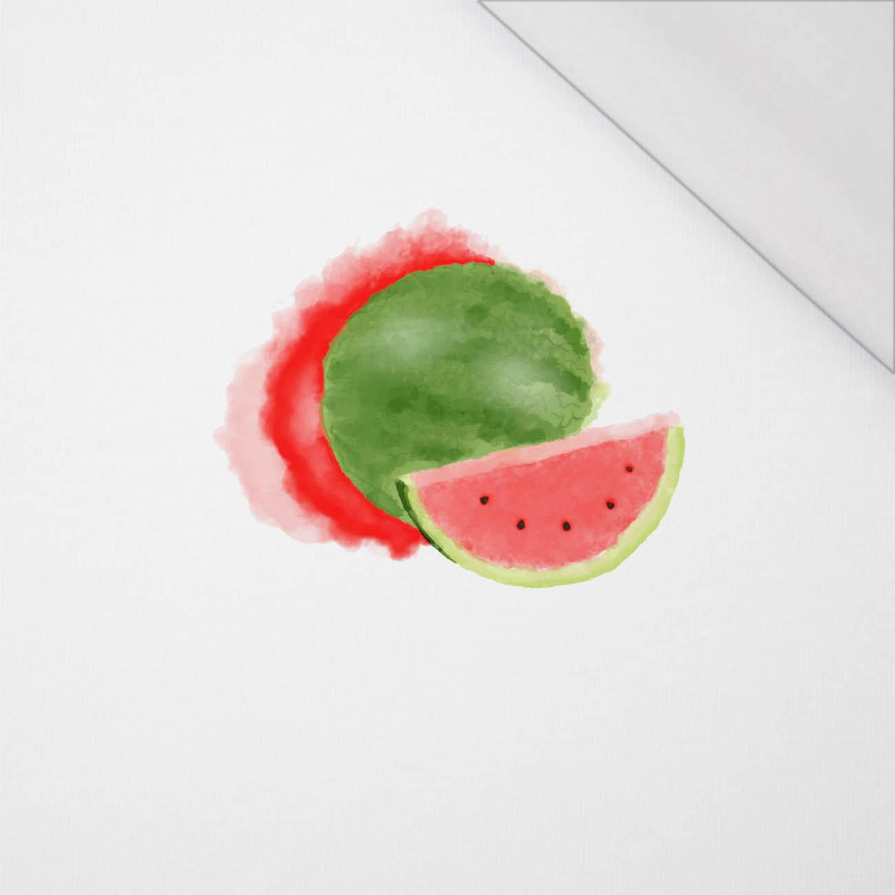 WATERMELON - PANEL (60cm x 50cm) SINGLE JERSEY