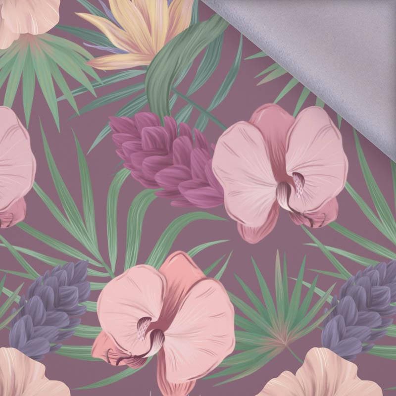 EXOTIC PLANTS / purple - softshell