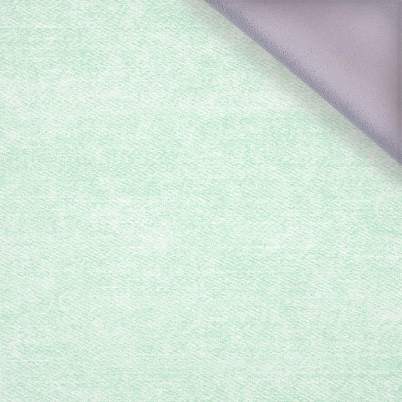 VINTAGE LOOK JEANS (mint) - softshell