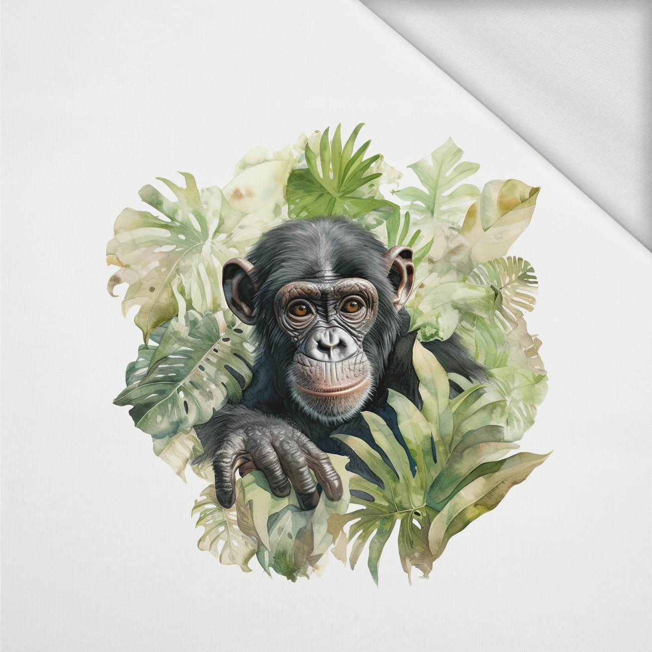 WATERCOLOR MONKEY - panel (60cm x 50cm) looped knit