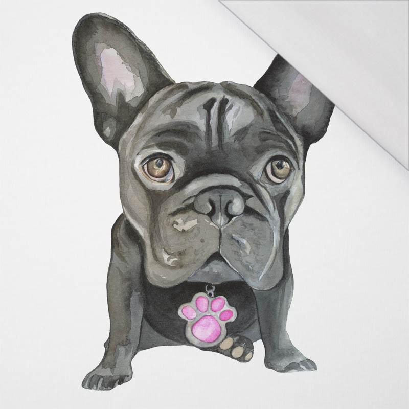 BULLDOG / black - SINGLE JERSEY PANEL 75cm x 80cm