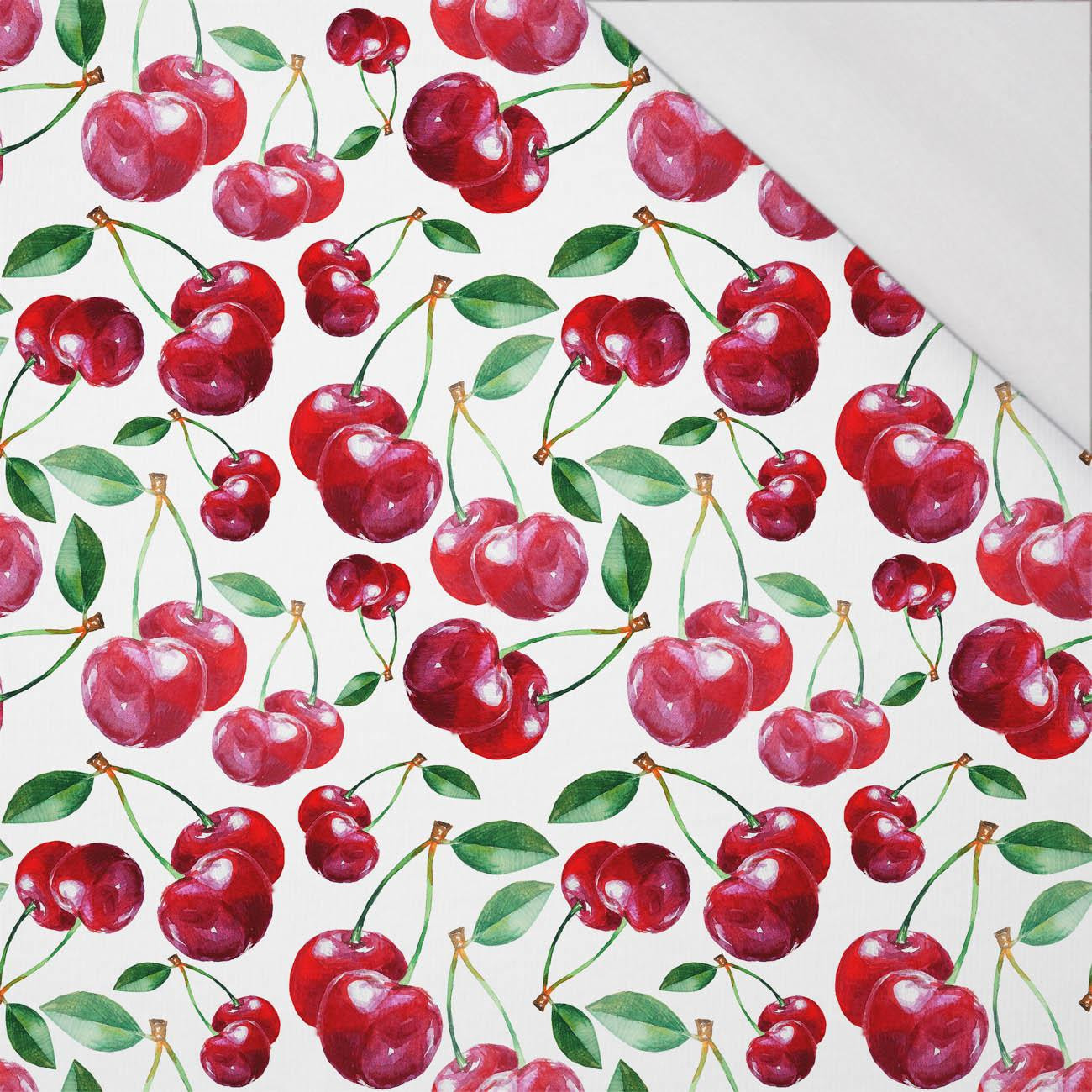 CHERRIES / PAT. 5 - single jersey with elastane 