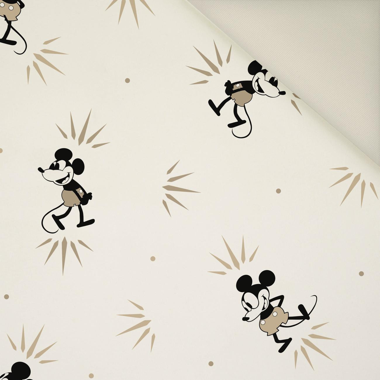 MOUSE PAT. 9- Upholstery velour 