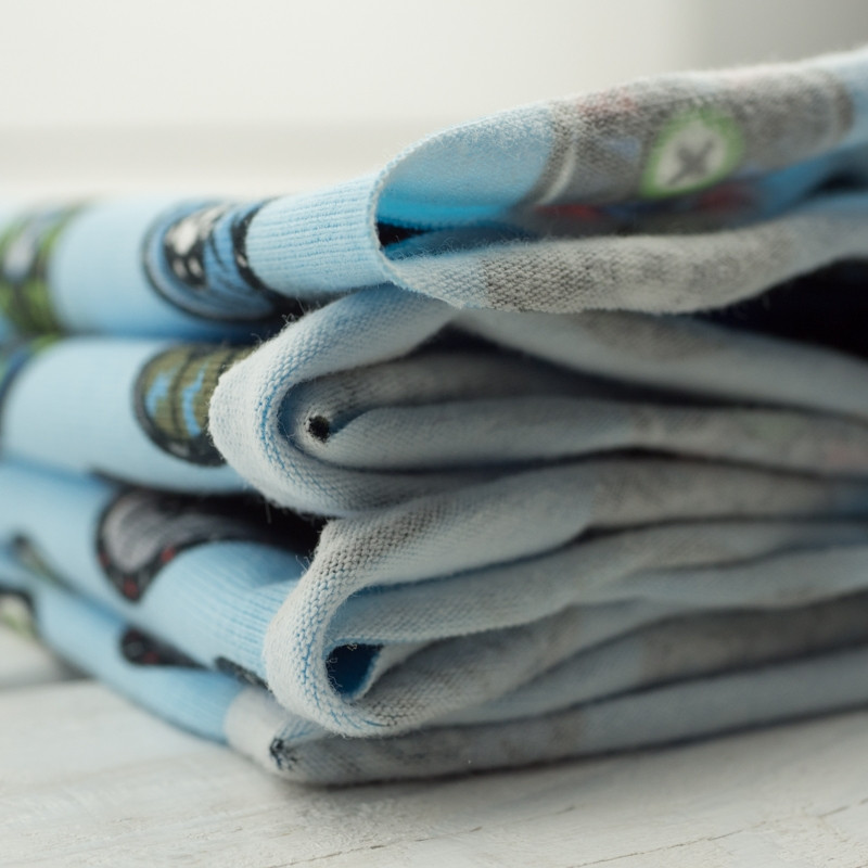 SHIELDS (VIKINGS) / light blue - Single Jersey TE210