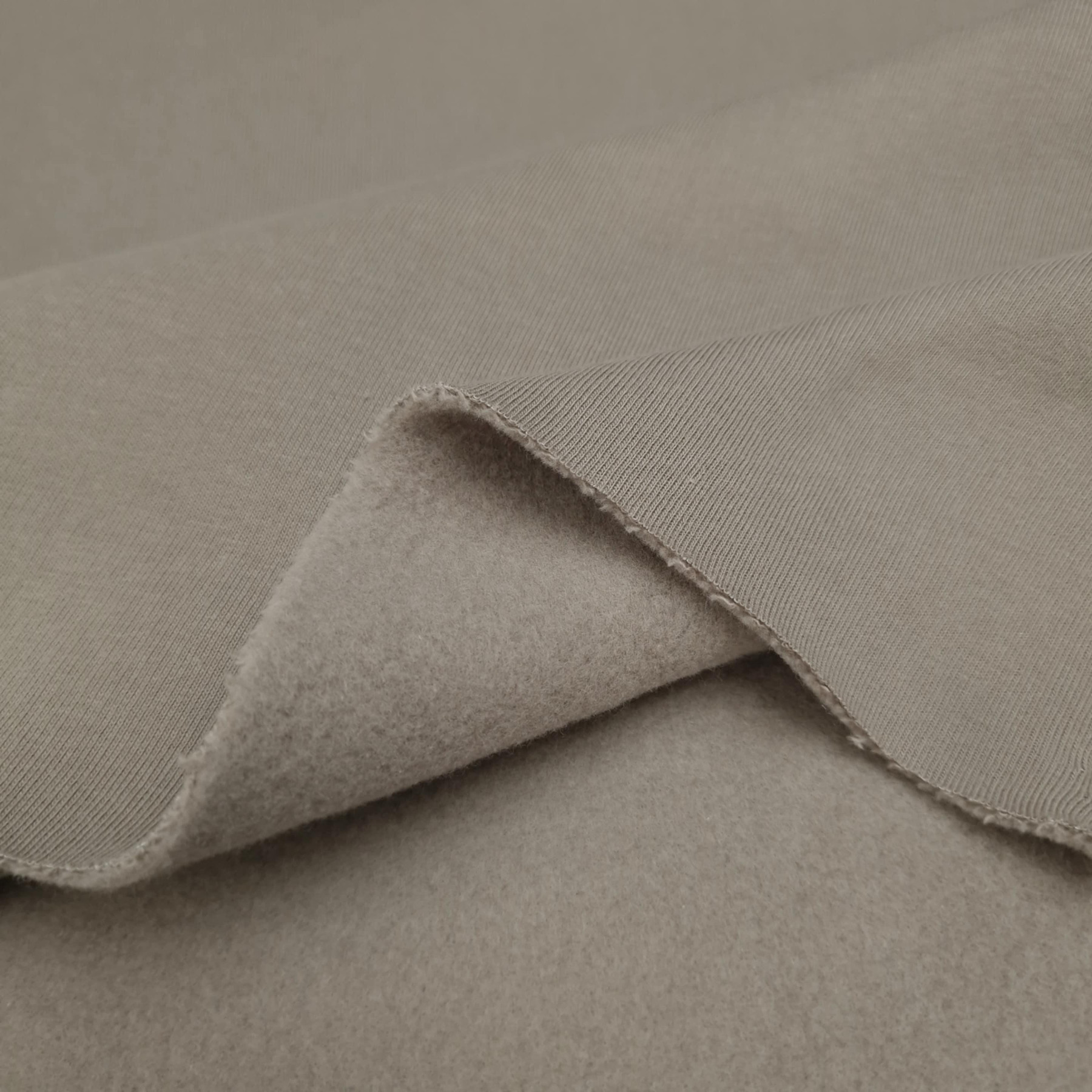 Thick brushed sweatshirt D300 - GREIGE (D-113)