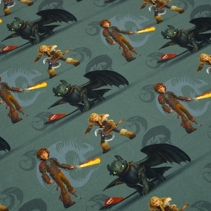 HOW TO TRAIN YOUR DRAGON - single jersey TE210