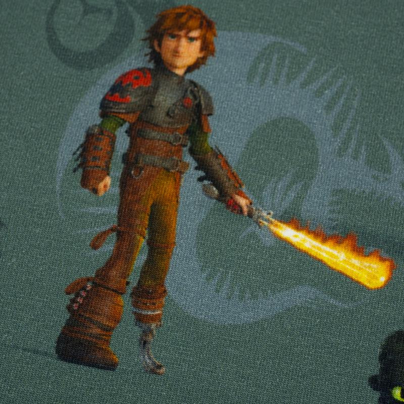 HOW TO TRAIN YOUR DRAGON - single jersey TE210