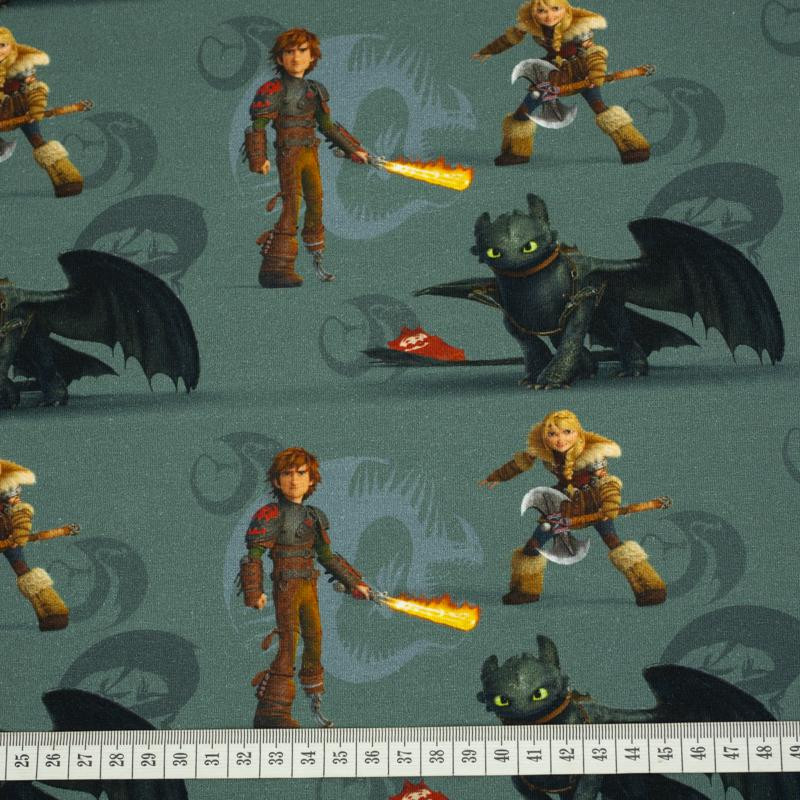 HOW TO TRAIN YOUR DRAGON - single jersey TE210