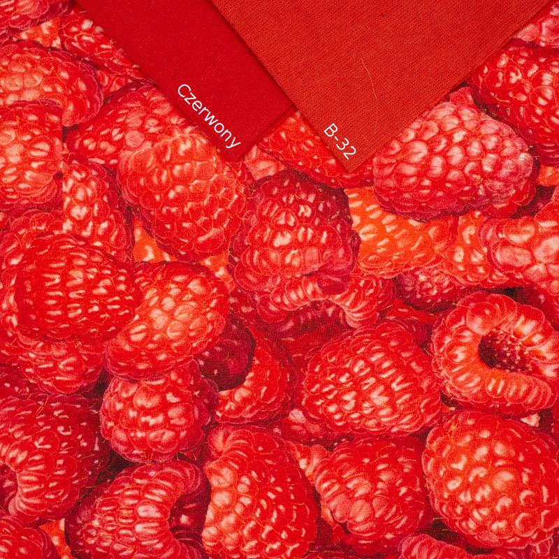 RASPBERRIES - single jersey with elastane TE210