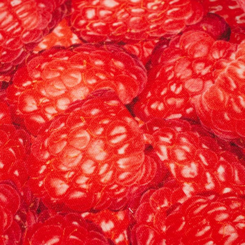 RASPBERRIES - single jersey with elastane TE210