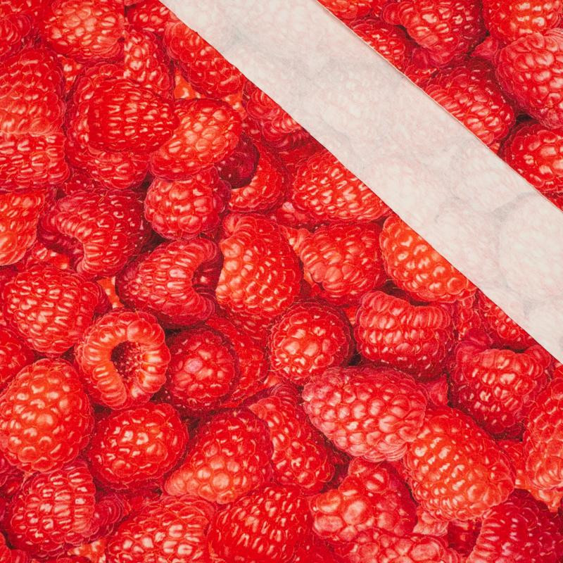 RASPBERRIES - single jersey with elastane TE210