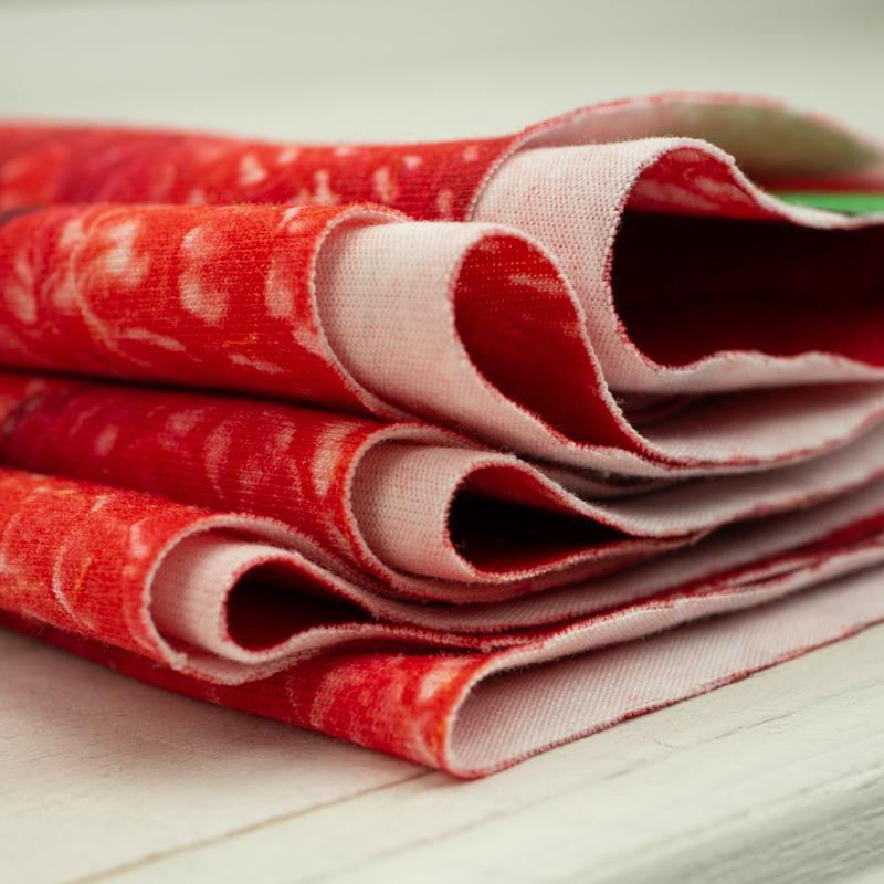 RASPBERRIES - single jersey with elastane TE210