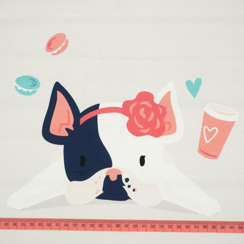 Dog with headband (J'adore Paris) / peach - panel looped knit 