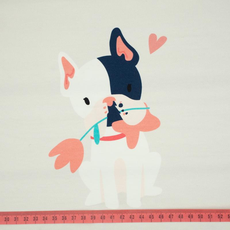 Dog with flower (J'adore Paris) / peach - panel looped knit