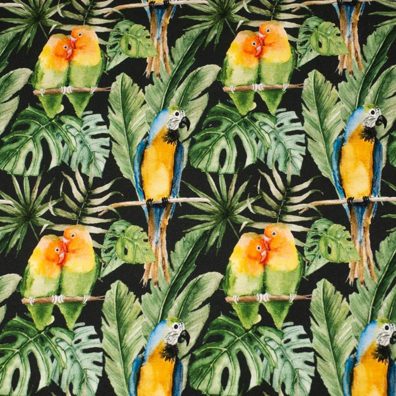 PARROTS pat. 2 / black (JUNGLE) - looped knit fabric