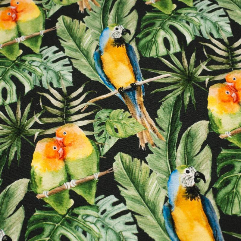 PARROTS pat. 2 / black (JUNGLE) - looped knit fabric