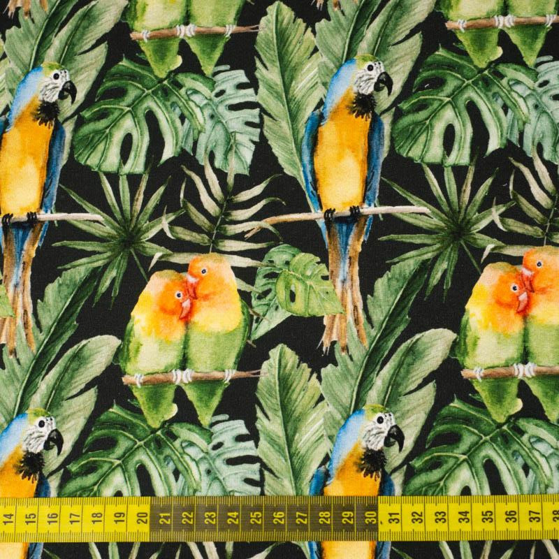 PARROTS pat. 2 / black (JUNGLE) - looped knit fabric