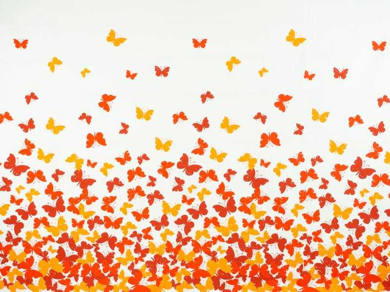 BUTTERFLIES AURORA RED - panel looped knit 