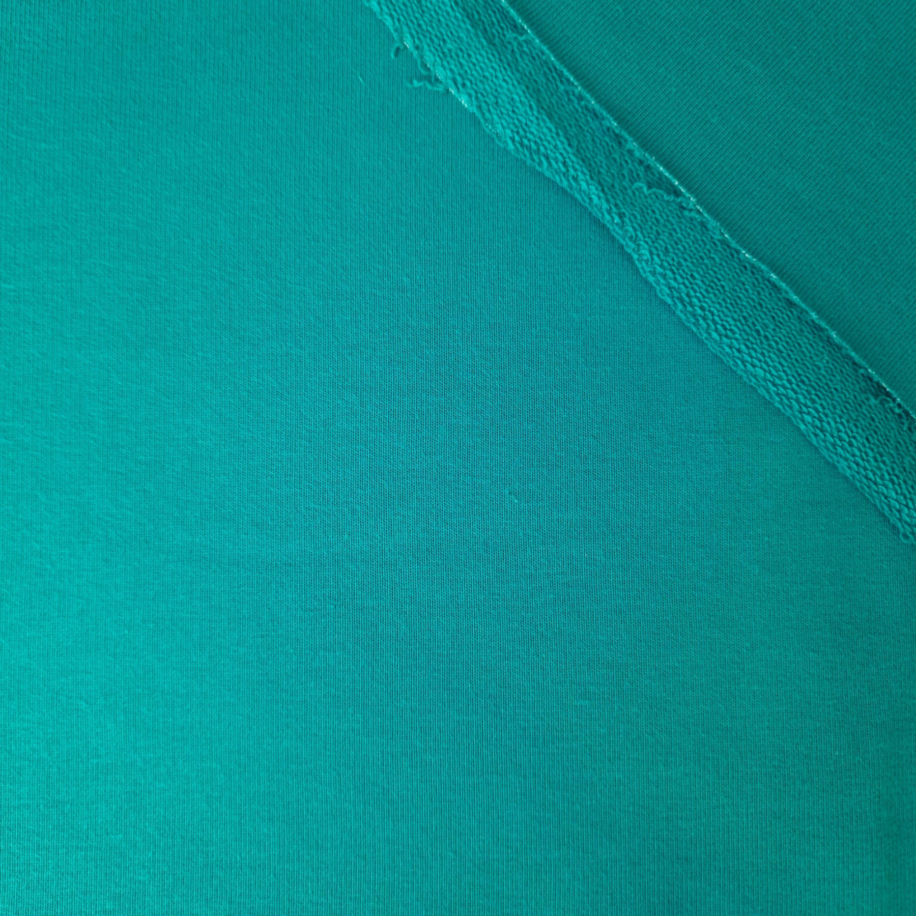 Thick looped knit (P290) - TRANSFORMATIVE TEAL (D-247)