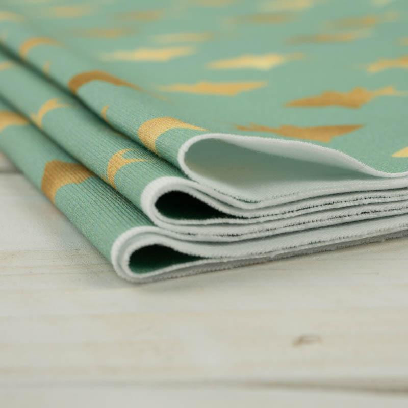 GOLDEN FISH (GOLDEN OCEAN) / mint - single jersey with elastane 