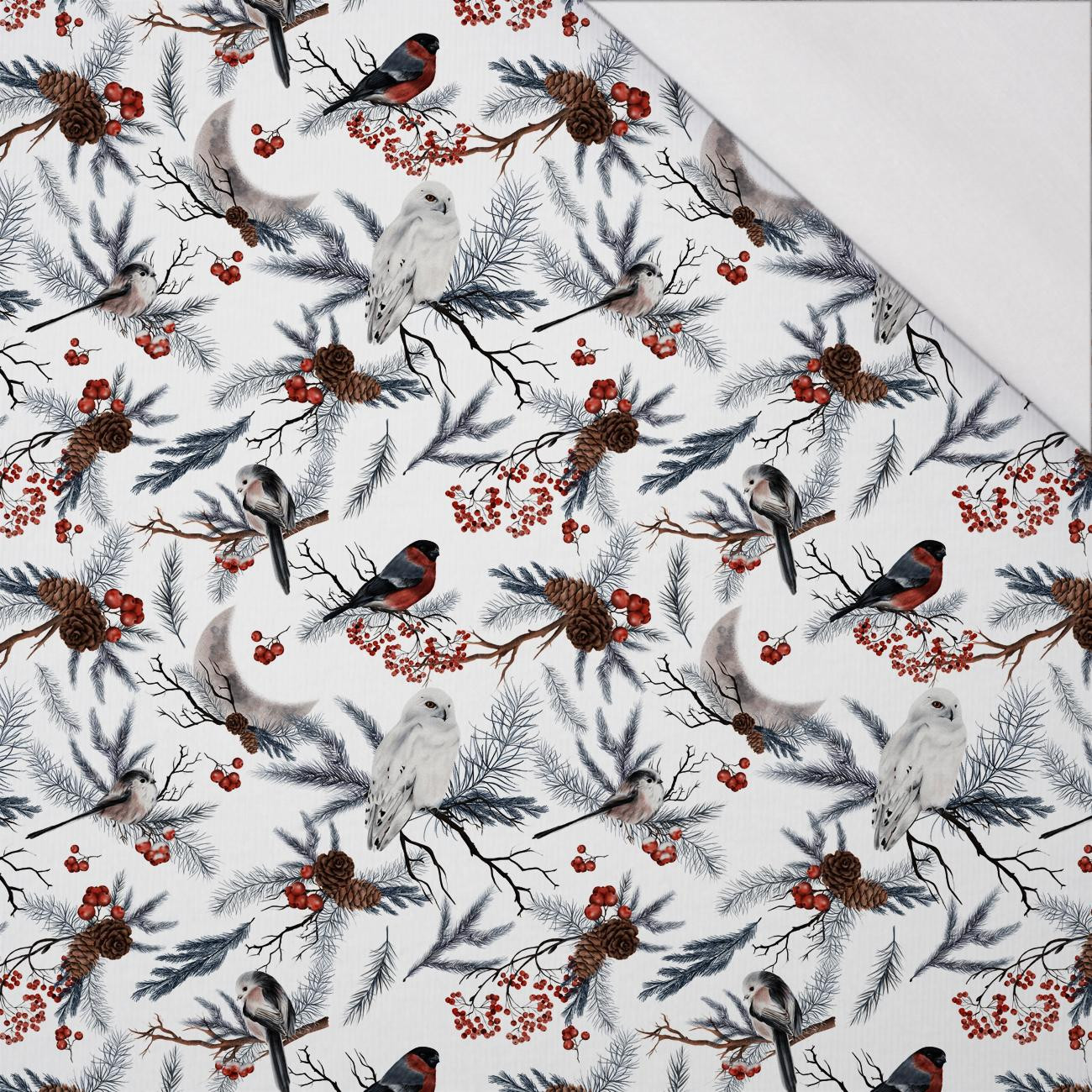 WINTER BIRDS pat. 1 (WINTER IN PARK) - single jersey 