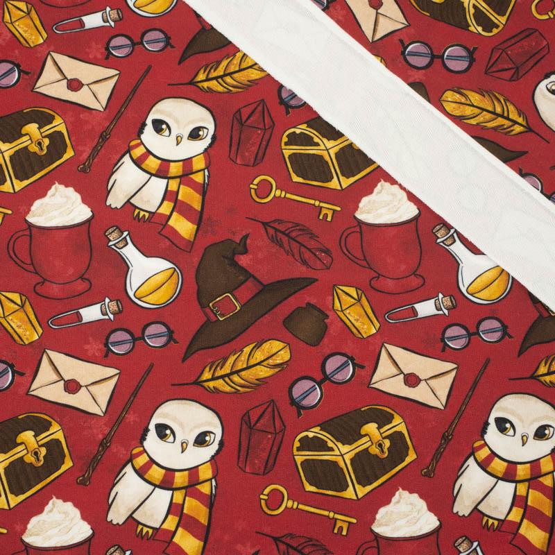 MAGIC MIX PAT. 2 (MAGIC SCHOOL) / red - looped knit fabric