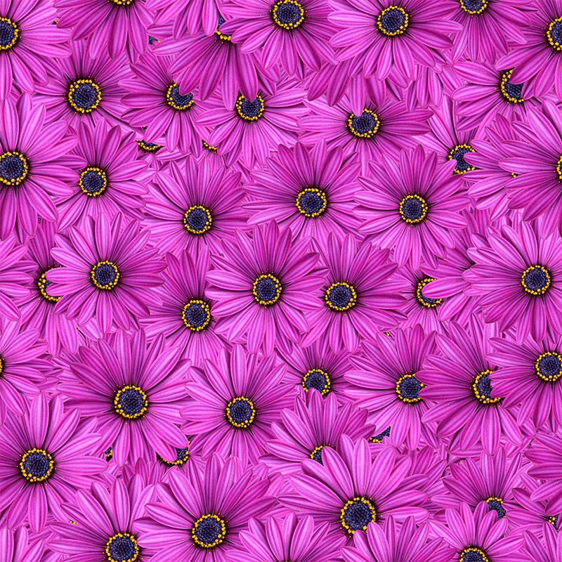 GERBERAS - Cotton woven fabric