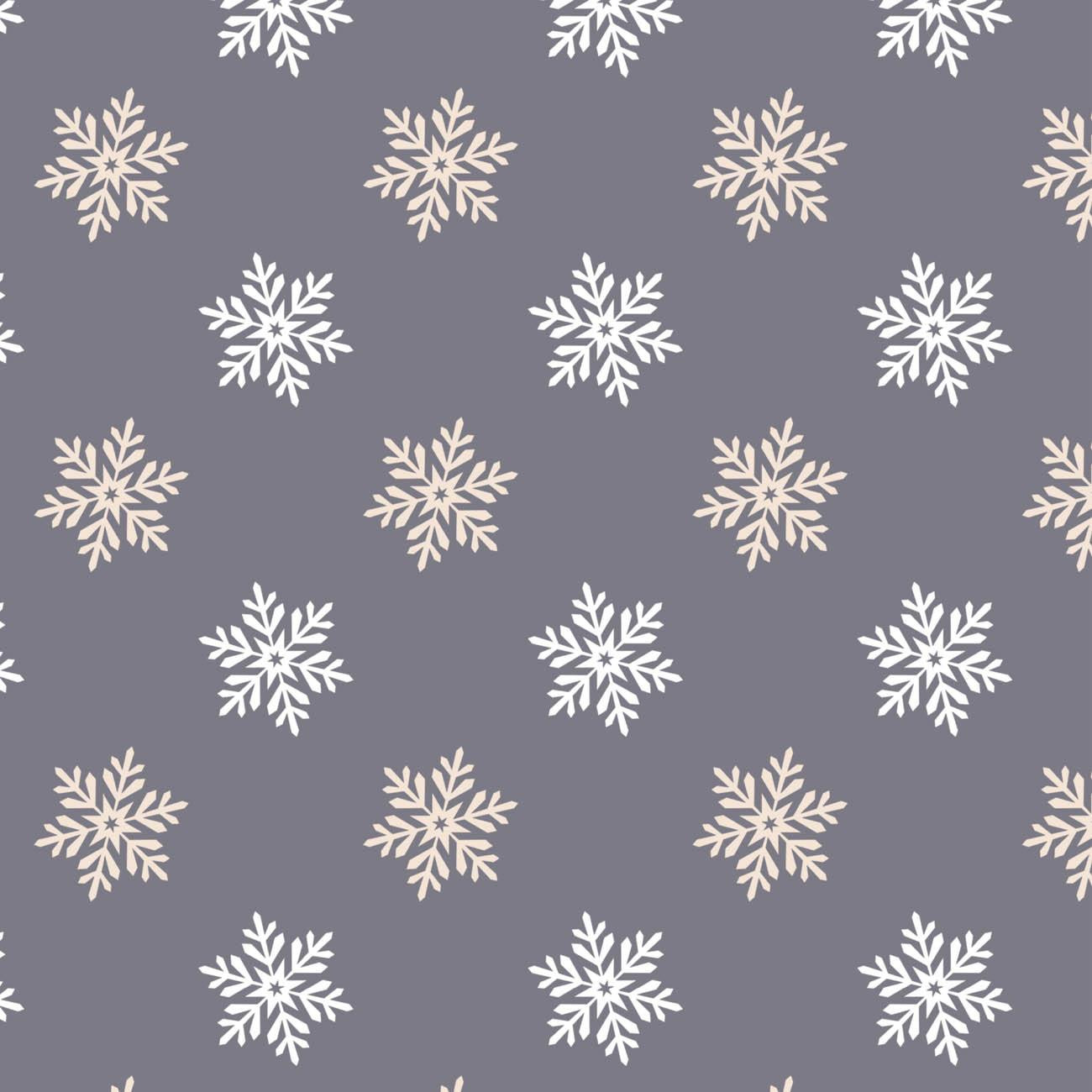 SNOWFLAKES pat. 5 (WINTER TIME) / grey