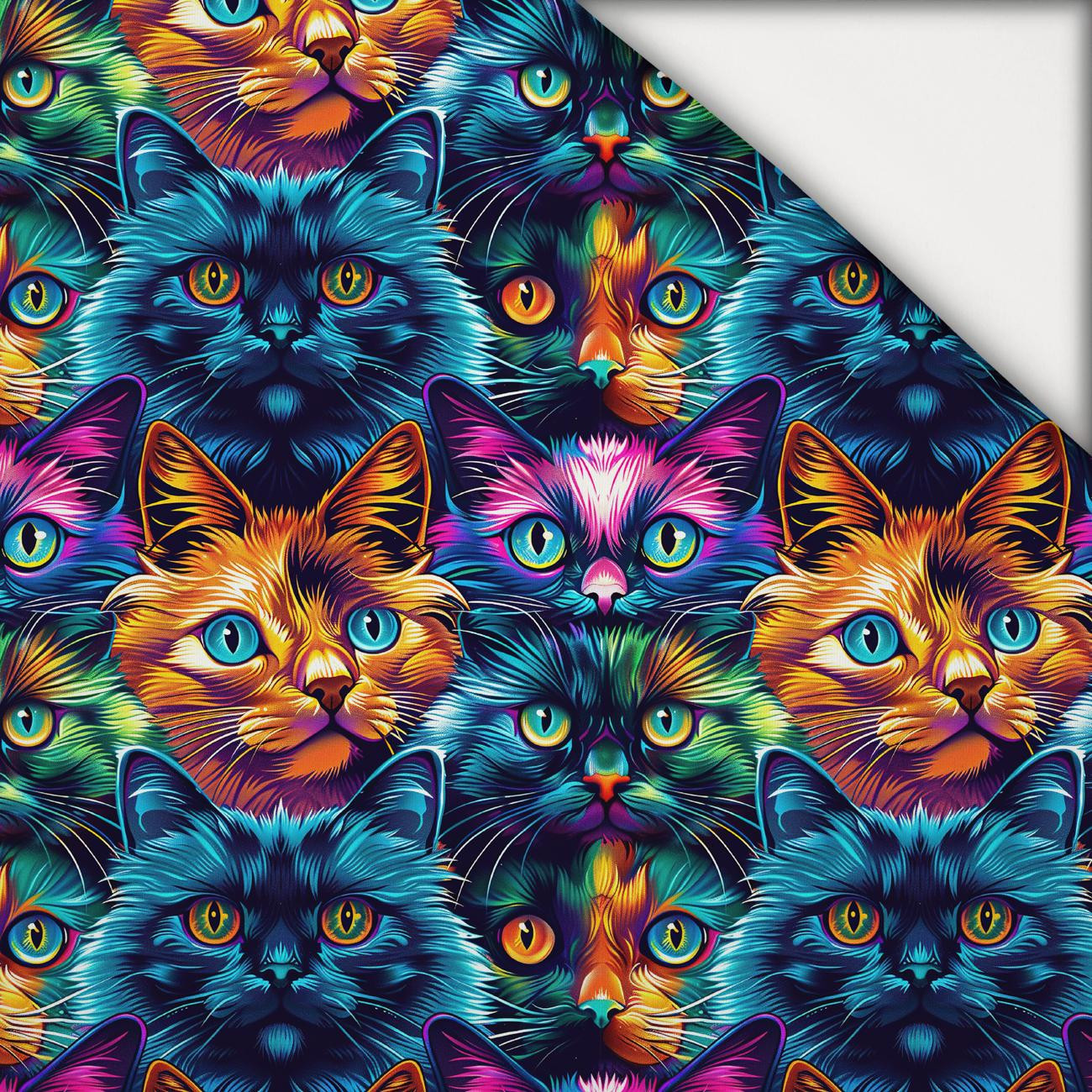 COLORFUL CATS - light brushed knitwear