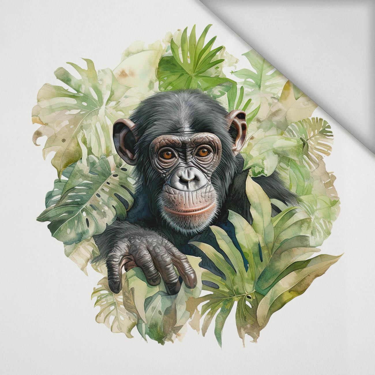 WATERCOLOR MONKEY - panel (75cm x 80cm) lycra 300g