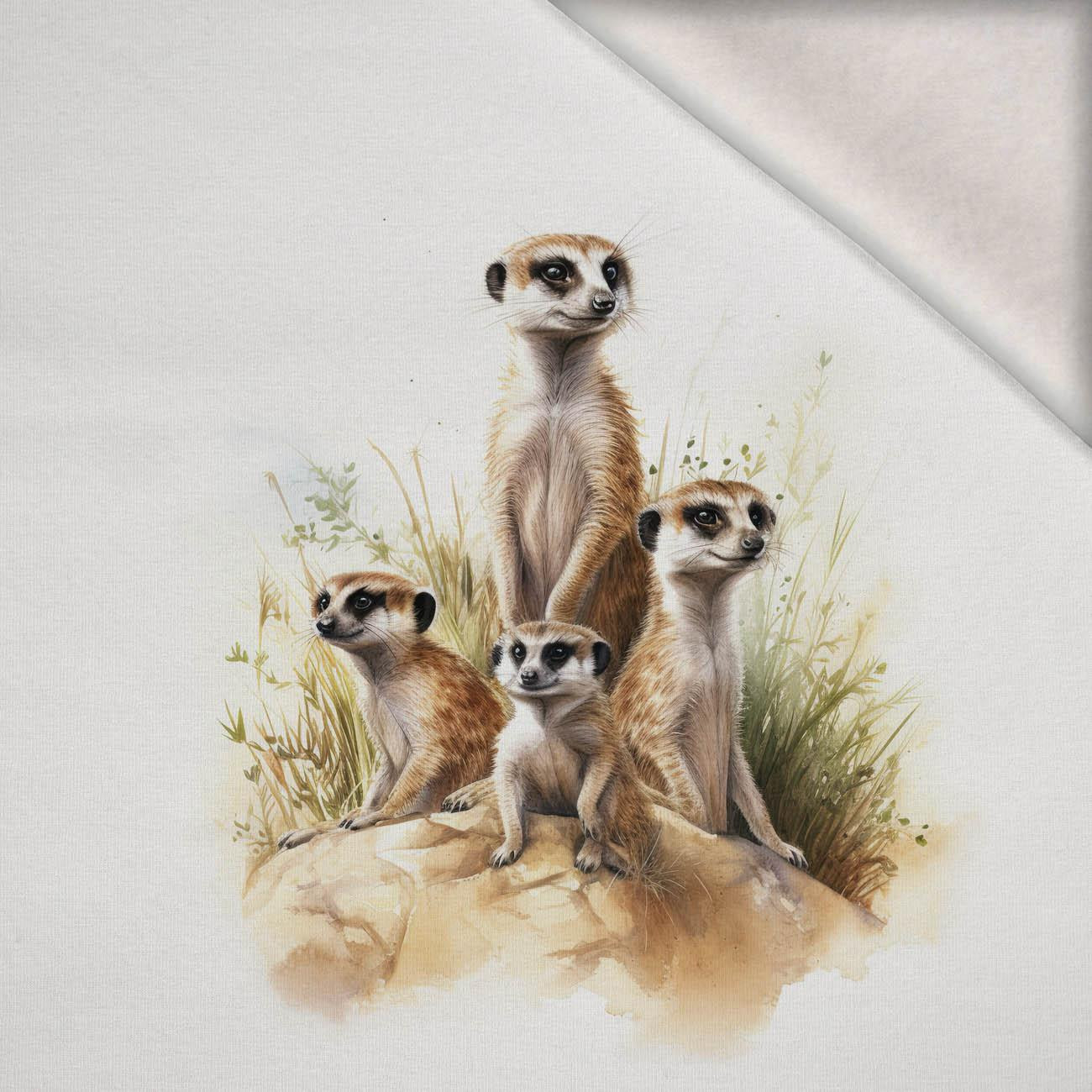 WATERCOLOR MEERKAT -  PANEL (60cm x 50cm) brushed knitwear with elastane ITY