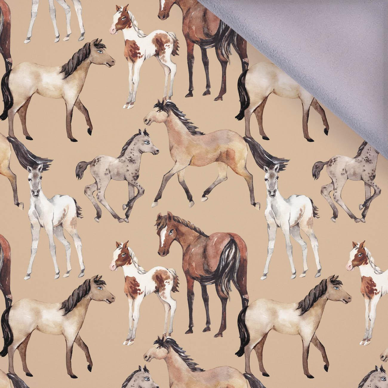 HORSES / beige - softshell