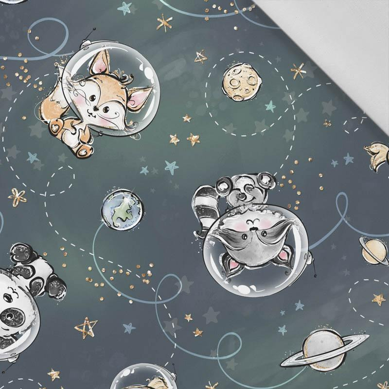 SPACE CUTIES pat. 3 (CUTIES IN THE SPACE) - Cotton woven fabric